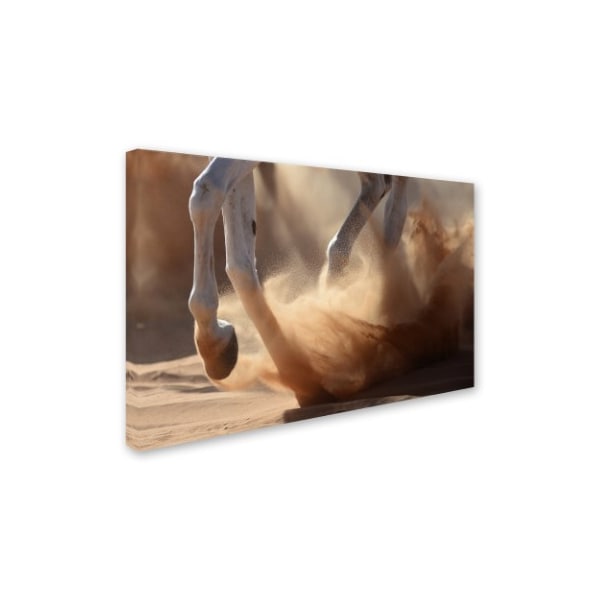 Kadir Civici 'Oman Desert' Canvas Art,12x19